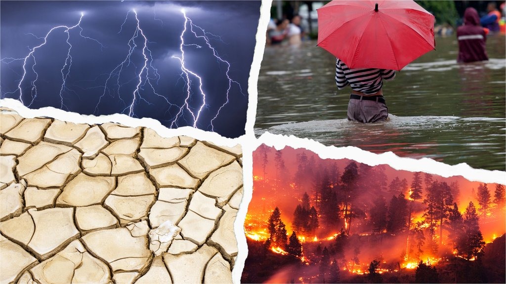 How Will the Environment Look in the Next 25 Years? Rising Heat and Water Crisis Warning
